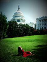 纽约-波士顿-华盛顿-芝加哥-印第安纳波利斯游学之旅报名征集