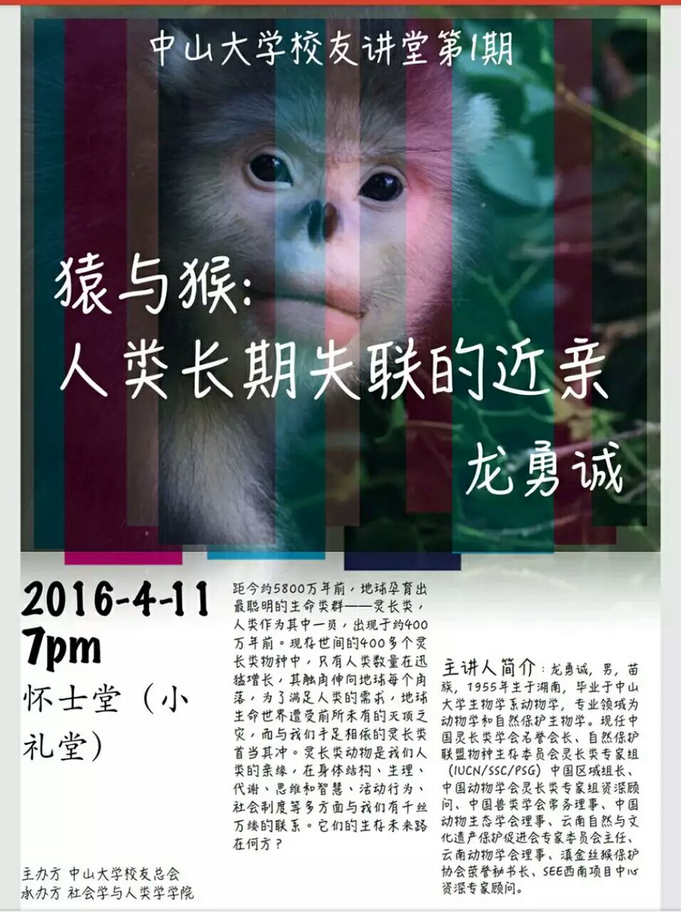 猿与猴：人类长期失联的近亲