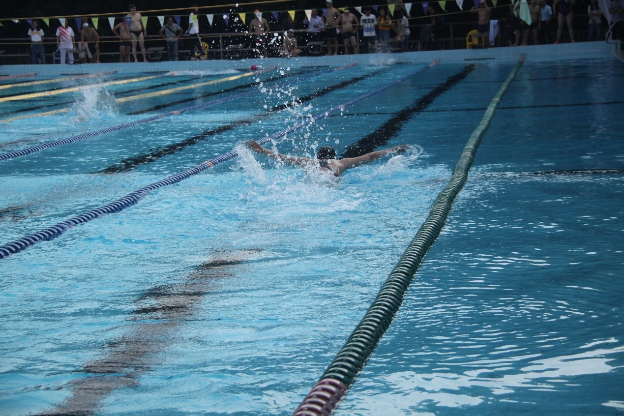 学习十九大精神，从“新”开始——社会学与人类学学院首次组队参加yl23455永利集团教职工游泳比赛勇创佳绩