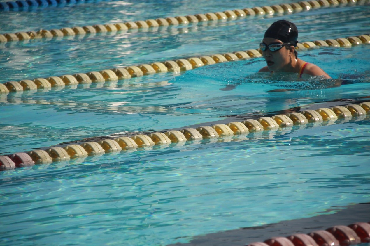 学习十九大精神，从“新”开始——社会学与人类学学院首次组队参加yl23455永利集团教职工游泳比赛勇创佳绩