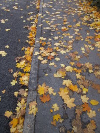 瑞典哥德堡大学交换生计划征集报名