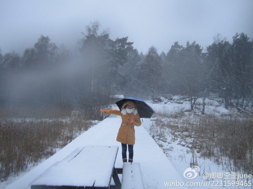 瑞典哥德堡大学交换生计划征集报名